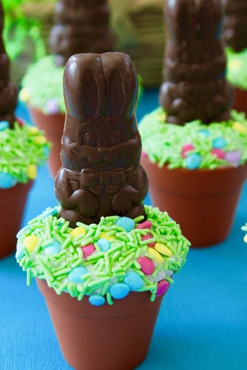 Easter desserts for kids Easy Chocolate Easter Bunny Cupcakes