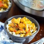 Delicious Must-Try Instant Pot Chicken 15 Recipes