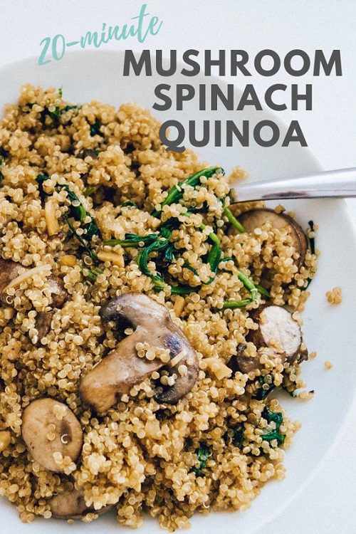 Vegan recipes with quinoa Mushroom Spinach Quinoa