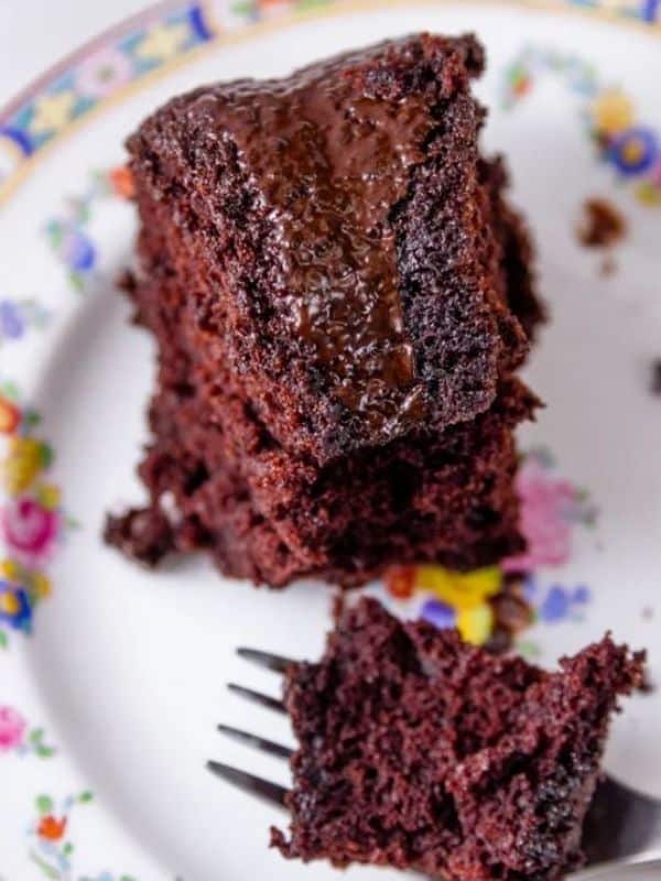 Vegan Dark Chocolate Cake