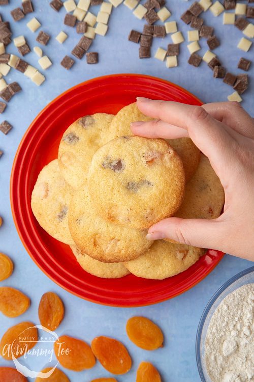 Cookie Recipes For Thanksgiving Apricot chocolate chip cookies