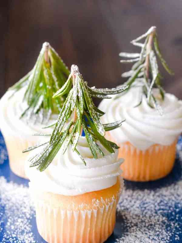 Tree Forest Winter Cupcakes
