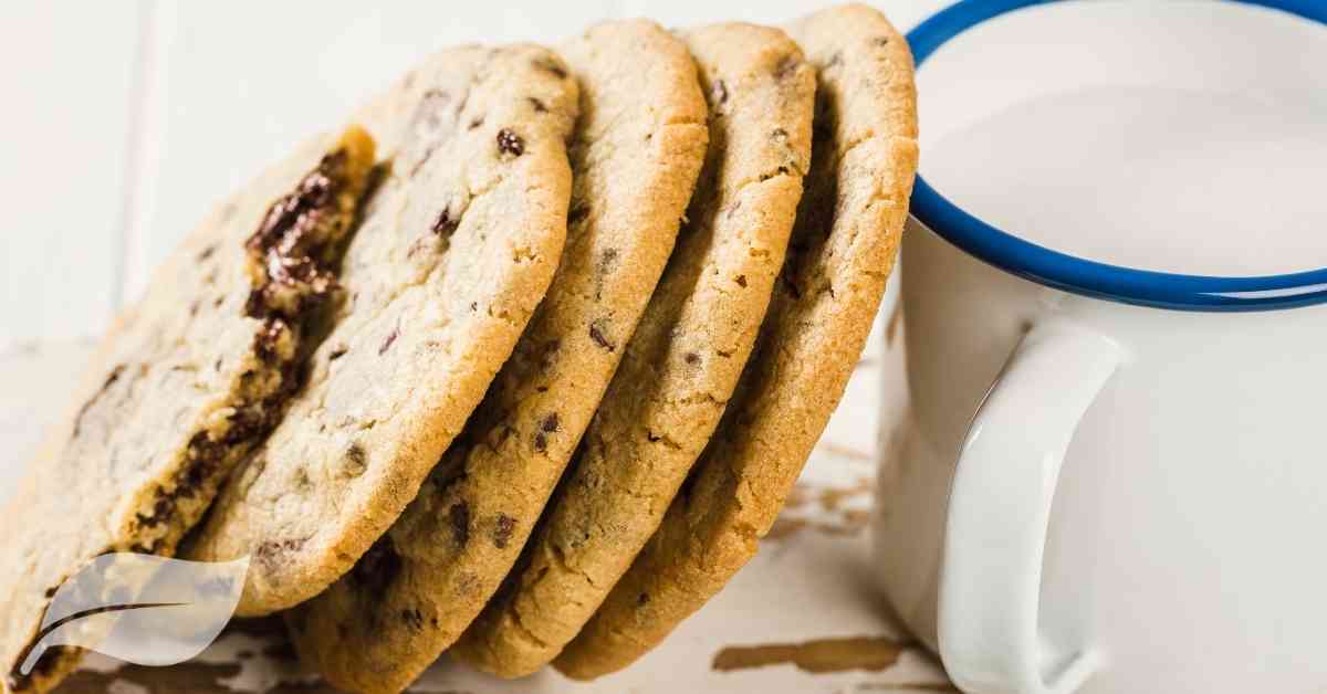 Chocolate chip cookies on end lent against a white mug with a blue rim