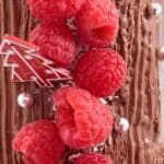 Dessert Recipes For Christmas Share Your Love With These Recipes