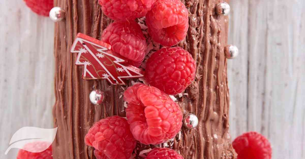 christmas yule log with raspberries on top