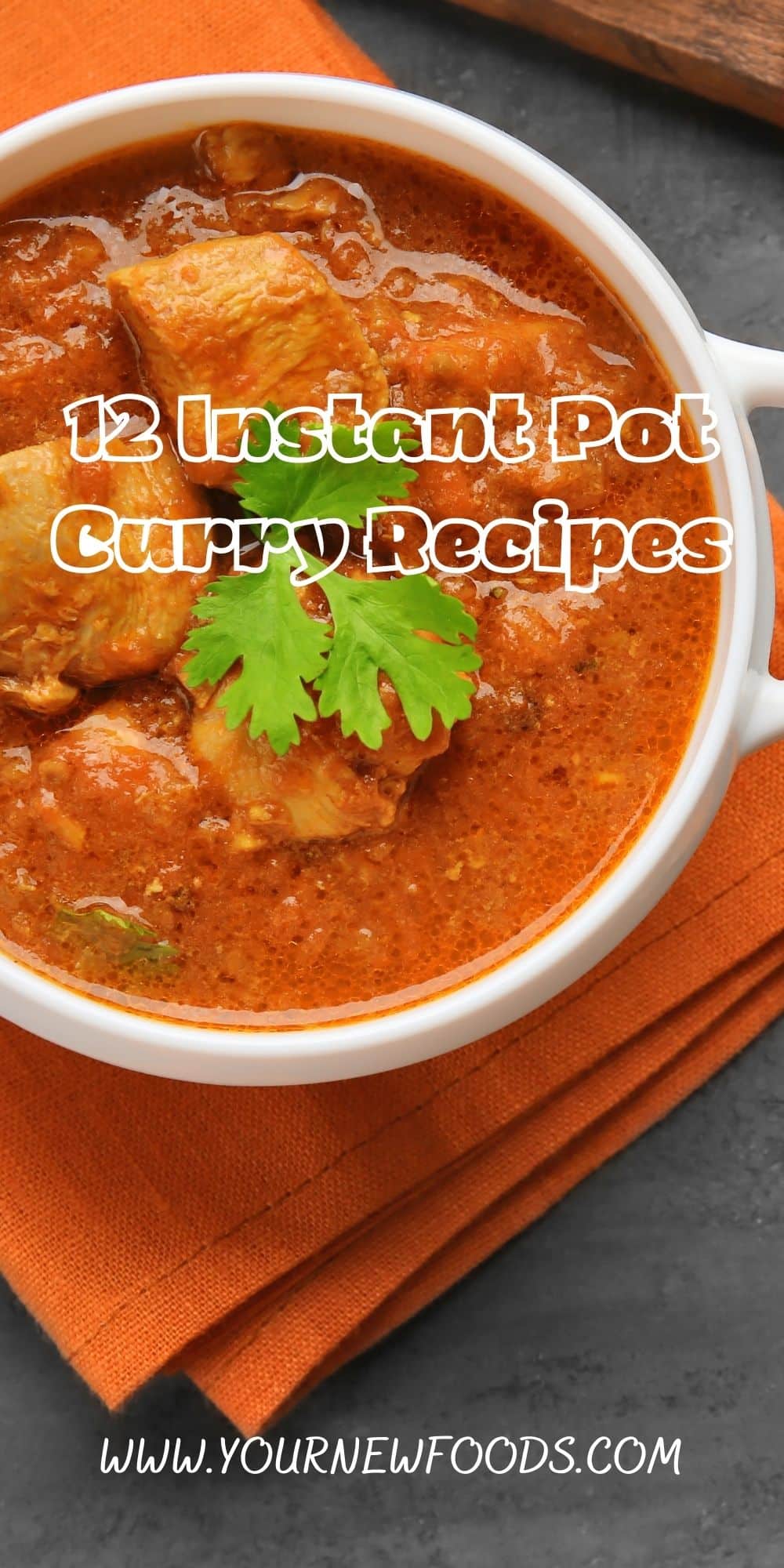 Instant Pot chicken curry in a white bowl