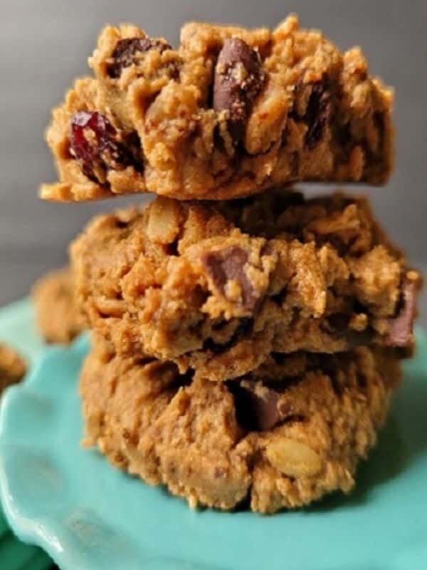 Flour Free, Oil Free, Gluten Free Chocolate Chunk and Cranberry Cookies
