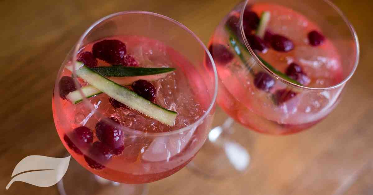 2 pink gin cocktails in wine glasses with red berries and a couple of strips of rhubarb