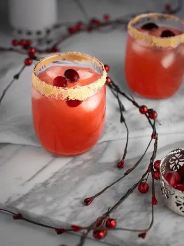 Non-Alcoholic Cocktail Cranberry Mocktail