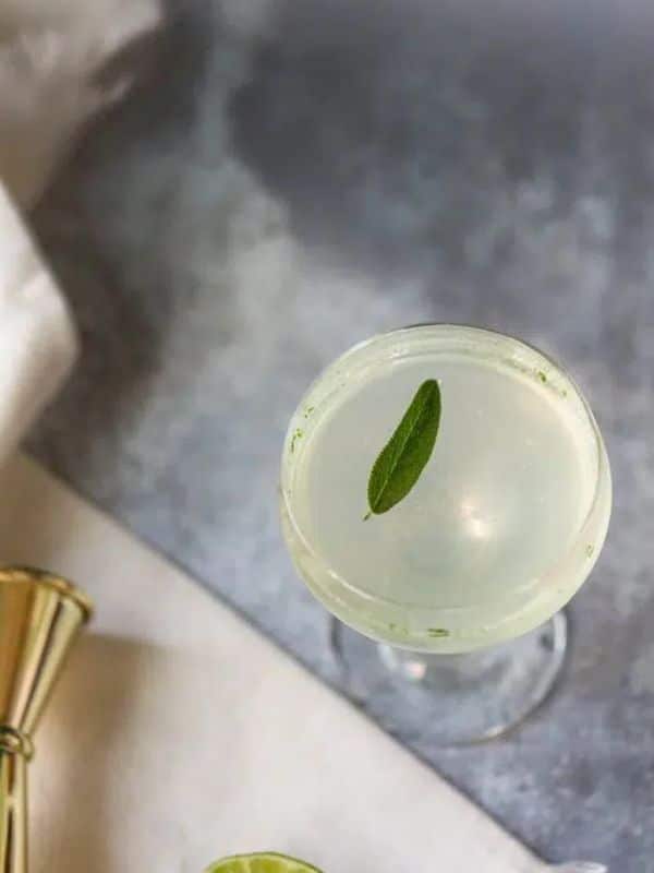 Sparkling Lime and Sage Gimlet Mocktail