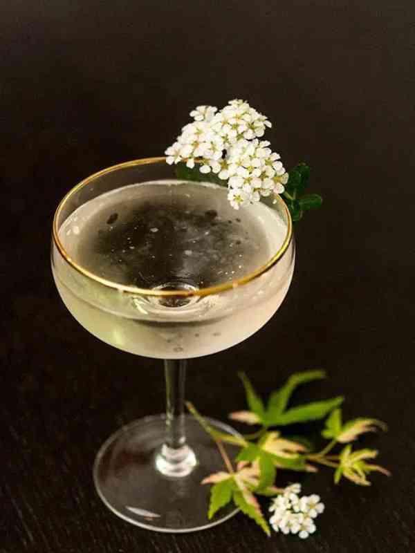 The Enchanting Sparkling Elderflower Cocktail
