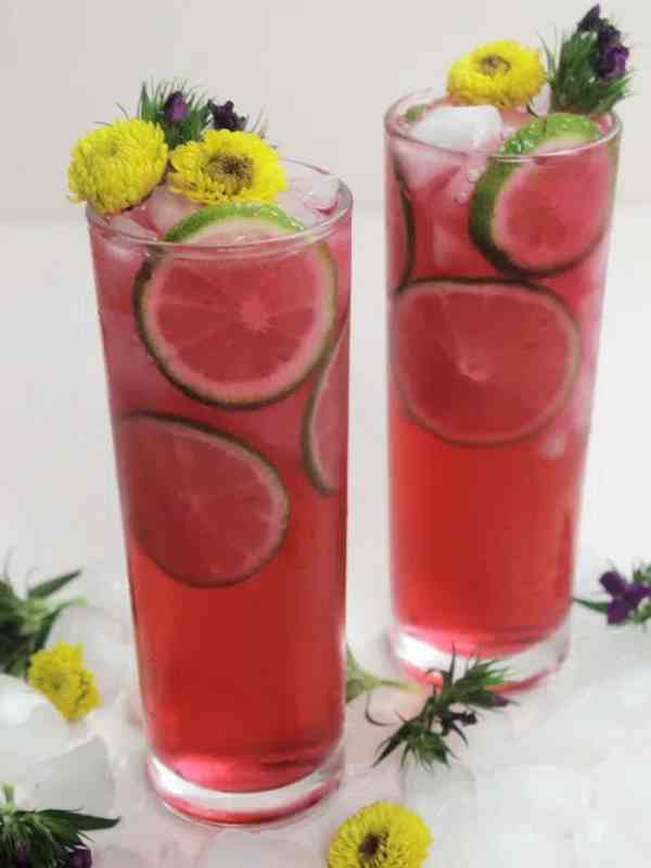 Hibiscus Tequila and Sprite Cocktail (4 Ingredients)