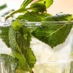 rum cocktail with mint leaves
