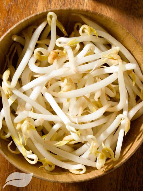 Bean sprouts in a wooden bowl
