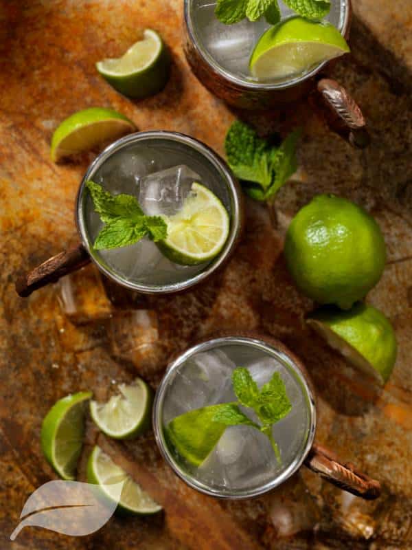 Classic Moscow Mule Recipe How to Make This Refreshing Vodka Cocktail