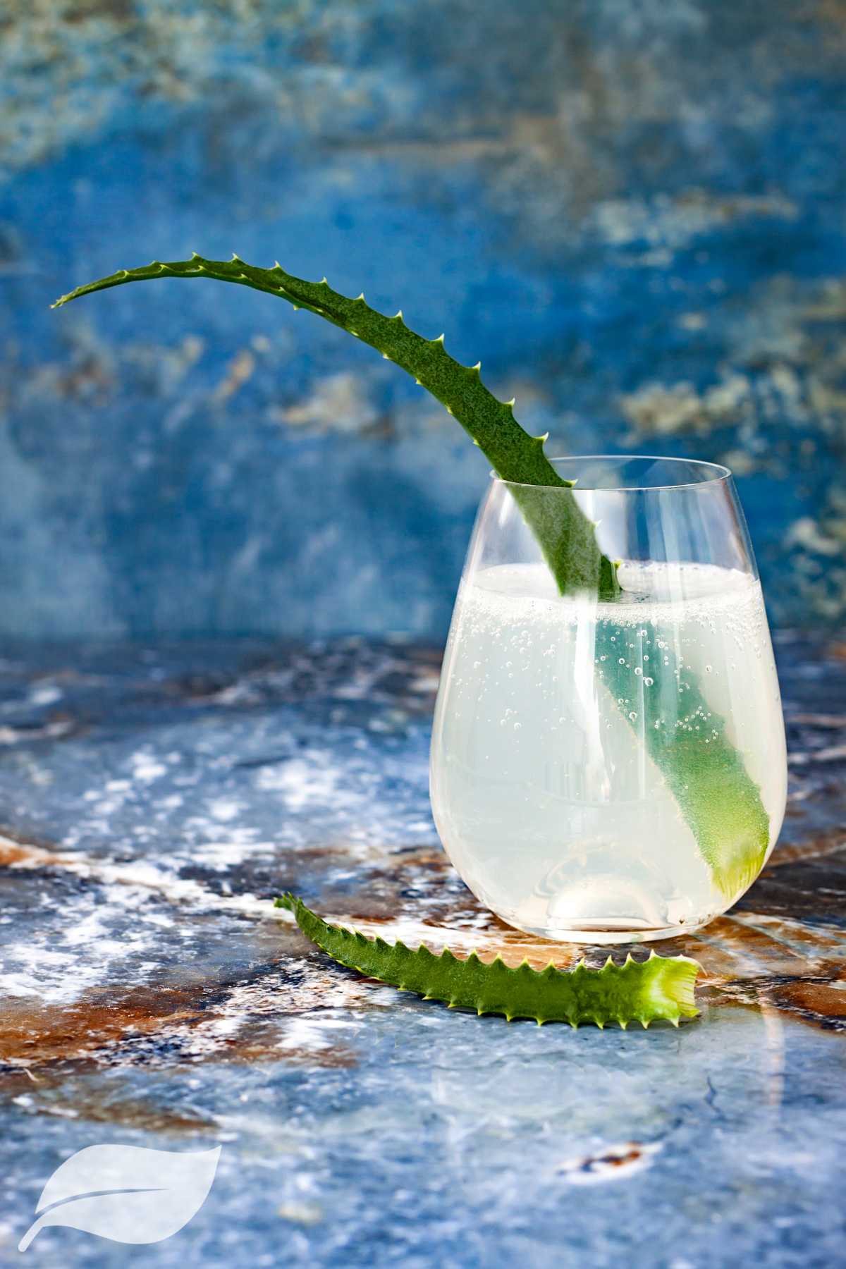 Sparkling Lime Fizz cocktail with alo vera