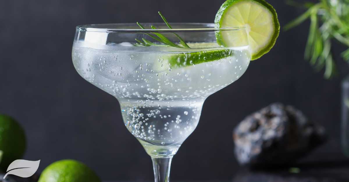 Sparkling Lime Fizz cocktail with rosemary