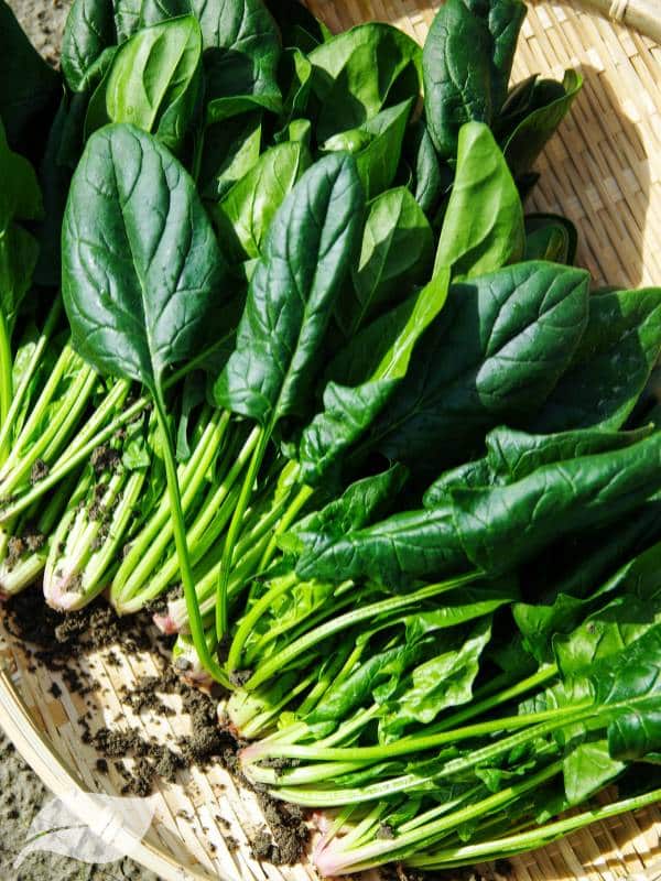 Spinach in a wooden basket