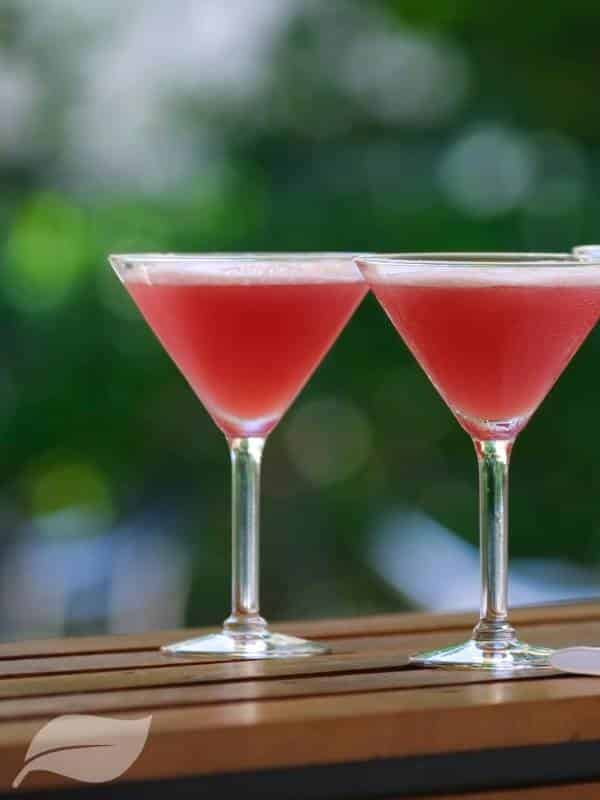 Two comsopolitan cocktails