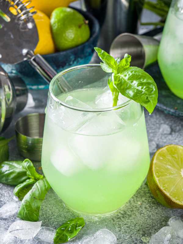 botanical lemon cocktail in a tall glass with mint