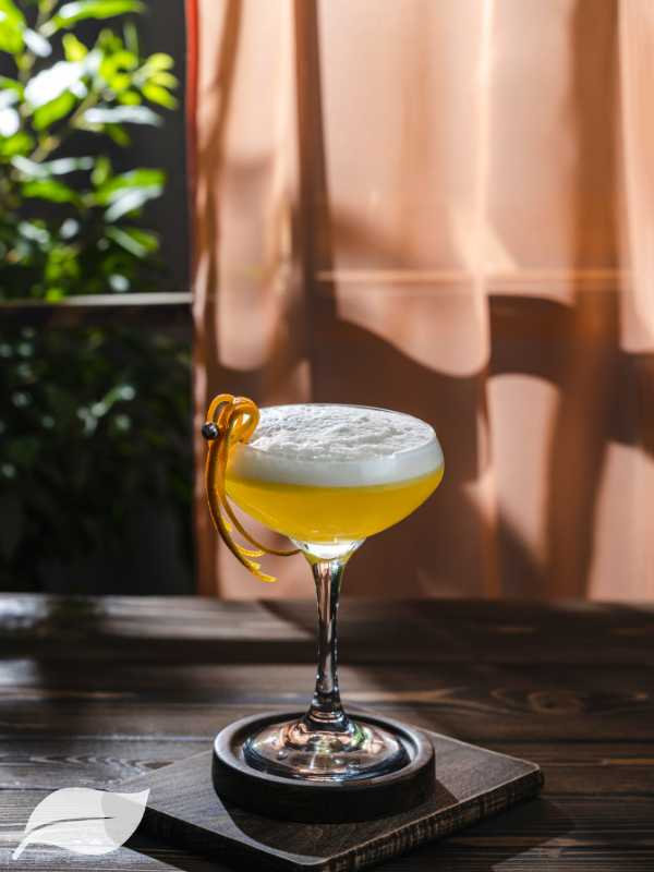 elegant cocktail