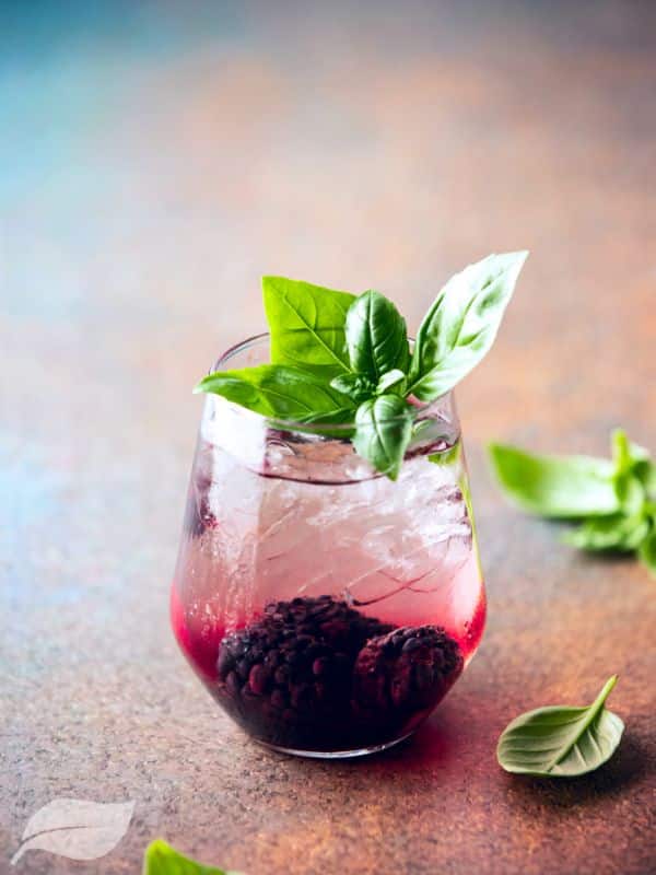 bramble cocktail with mint leaves