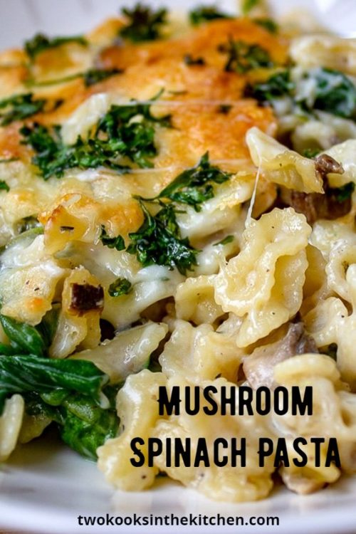 Casserole Recipes With Pasta - 16 Must-try pasta recipes